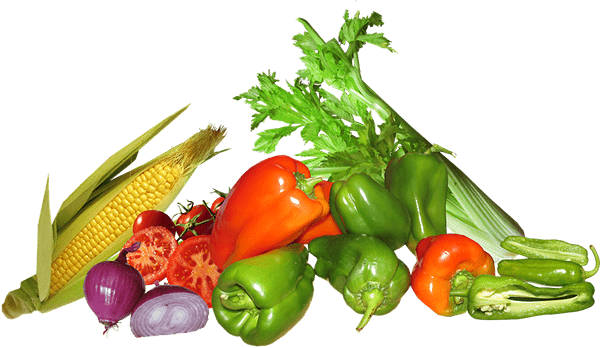 YoloFarm Organic Farming